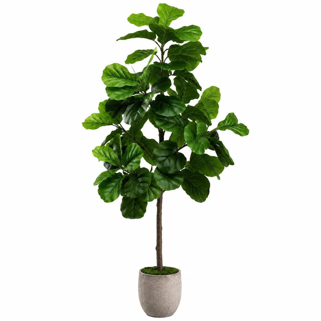 Plante artificielle Ficus lyrata 180 cm feuillage vert en plastique pour intérieur