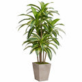 Plante artificielle dracaena 180 cm feuillage vert panaché avec pot carré décoratif intérieur