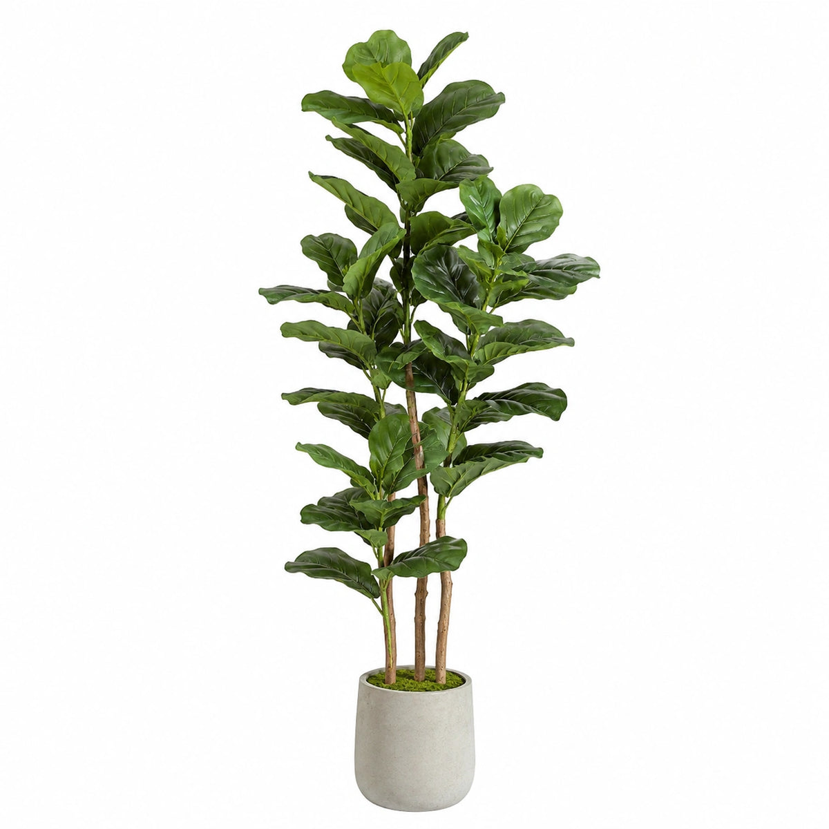 Plante artificielle 180 cm en plastique vert pour intérieur style ficus lyrata